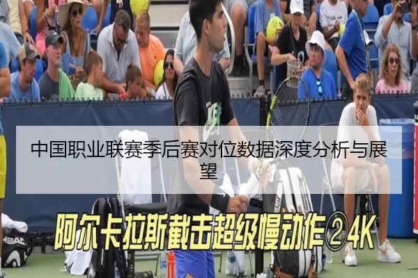 中国职业联赛季后赛对位数据深度分析与展望